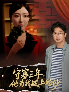 短剧守寡三年，他为我披上婚纱海报