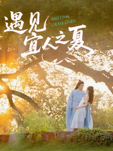 短剧遇见宜人之夏海报