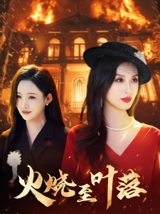 短剧火烧至叶落海报