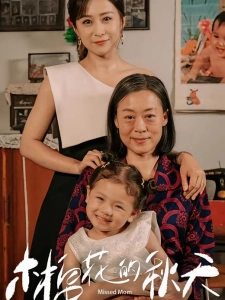 短剧木棉花的秋天海报