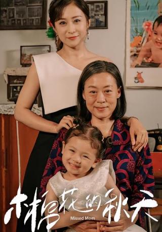 短剧木棉花的秋天海报