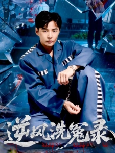 短剧逆风洗冤录海报