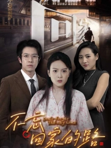 短剧不忘回家的路海报