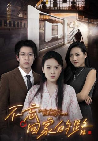 短剧不忘回家的路海报