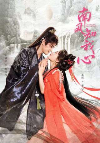 短剧南风知我心海报