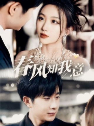 短剧春风知我意海报