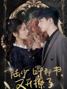 短剧陆少叶秘书又开撩了海报