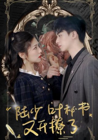 短剧陆少叶秘书又开撩了海报