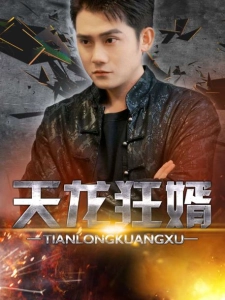 短剧天龙狂婿海报