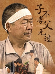 短剧子不孝父无过海报