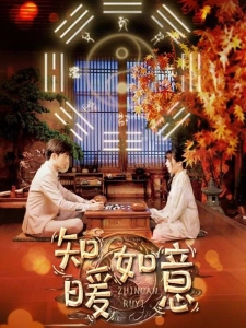 短剧知暖如意海报