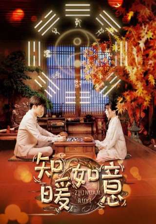 短剧知暖如意海报