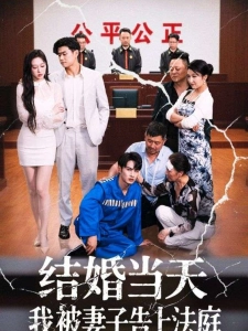 短剧结婚当天我被妻子告上法庭海报