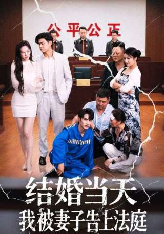 短剧结婚当天我被妻子告上法庭海报