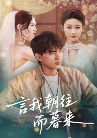 短剧言我朝往而暮来海报