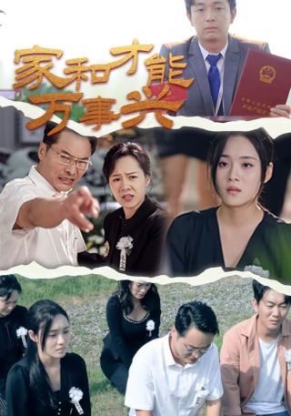 短剧家和才能万事兴海报