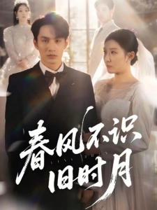 短剧春风不识旧时月海报