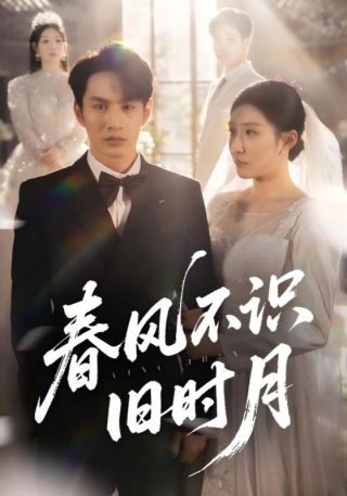 短剧春风不识旧时月海报