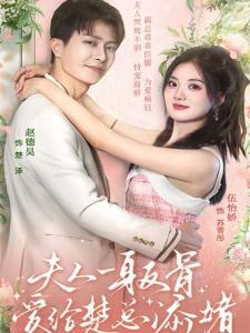 短剧夫人一身反骨，爱给楚总添堵海报