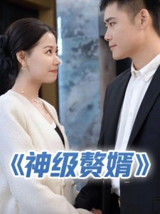 短剧神级赘婿海报