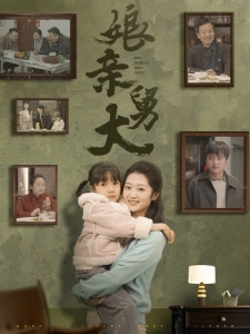 短剧娘亲舅大海报