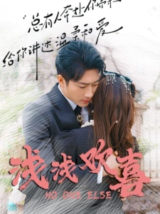 短剧浅浅欢喜海报