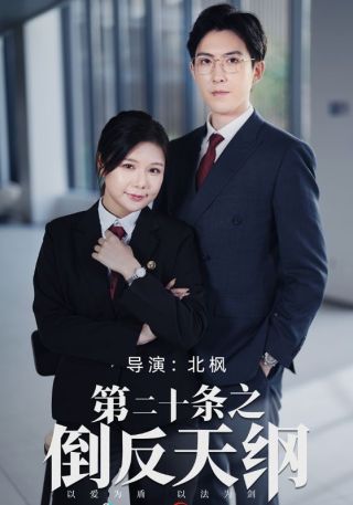 短剧第二十条之倒反天纲海报