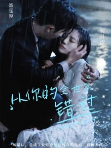 短剧从你的全世界错过海报