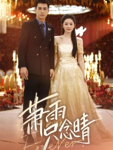 短剧萧雨只念晴海报