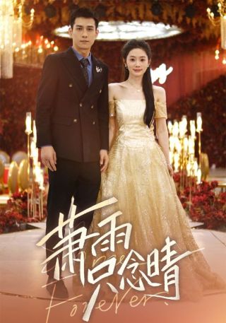 短剧萧雨只念晴海报