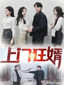 短剧上门狂婿海报