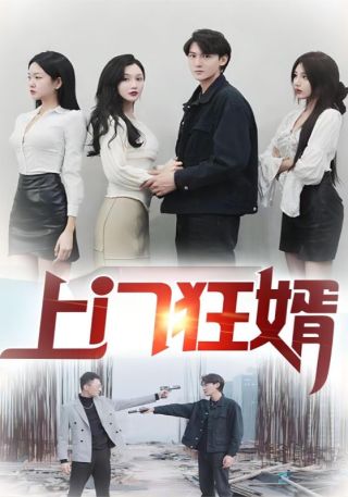 短剧上门狂婿海报