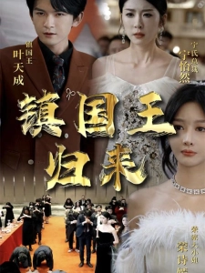 短剧镇国王归来海报