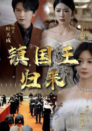 短剧镇国王归来海报