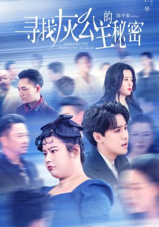 短剧寻找灰公主的秘密海报