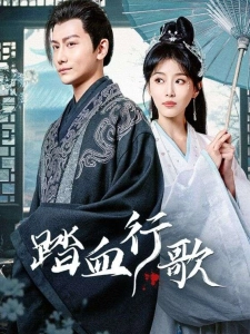 短剧踏血行歌海报