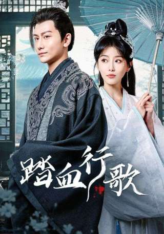 短剧踏血行歌海报