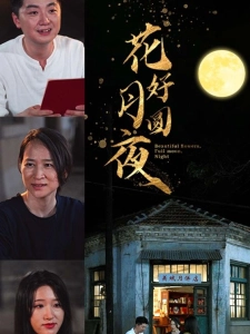 短剧花好月圆夜海报
