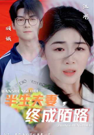 短剧半生夫妻终成陌路海报