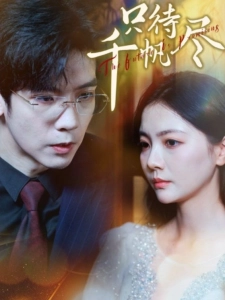 短剧只待千帆尽海报