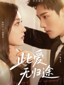 短剧此爱无归途海报