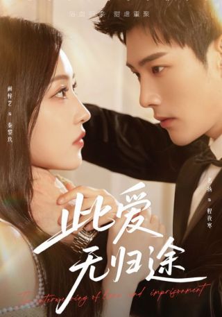 短剧此爱无归途海报