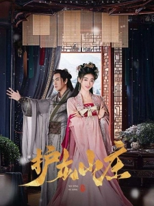 短剧护龙山庄海报