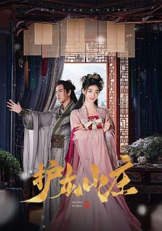 短剧护龙山庄海报