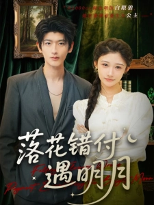 短剧落花错付遇明月海报