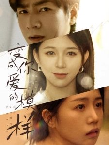 短剧变成你爱的模样海报