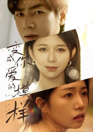 短剧变成你爱的模样海报