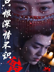 短剧只恨深情不识鸢海报