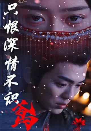 短剧只恨深情不识鸢海报