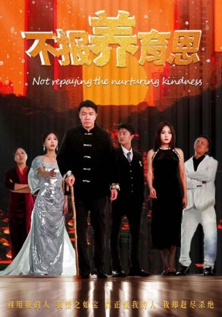 短剧不报养育恩海报